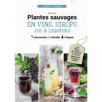 Plantes sauvages en vins, sirops, jus & liqueurs