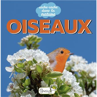 Oiseaux