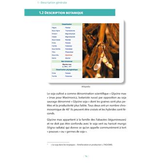 Soja, ce qu'il faut savoir