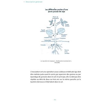 Soja, ce qu'il faut savoir