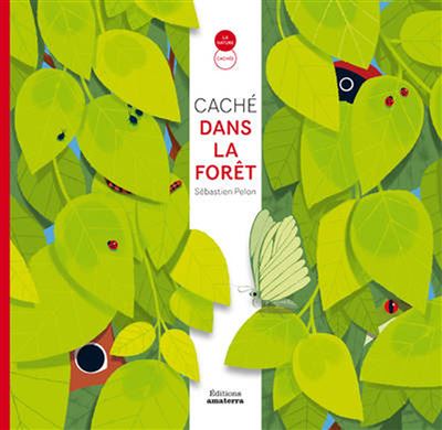 Cache dans la foret