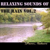 Musique Relaxante Avec La Pluie Volume 2