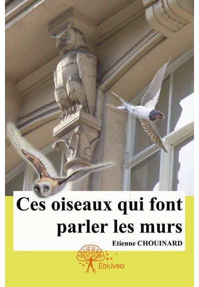 Ces oiseaux qui font parler les murs