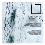 Beethoven & Fellows - CD