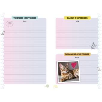 Agendas scolaires : Love Chat