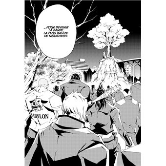 Shaman King - Flowers - Tome 1