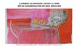 Comment les martiens visitent la terre