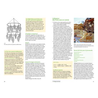 Sécher et déshydrater ses aliments - Fruits, légumes, plantes aromatiques et champignons...