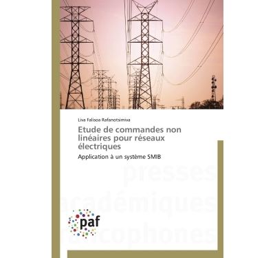 Etude de commandes non lineaires pour reseaux electriques