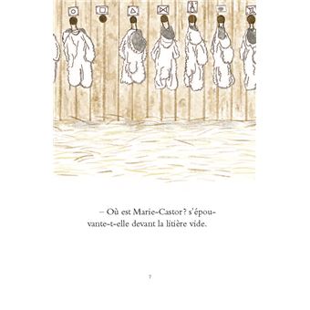 Zappa, cheffe de troupeau - Totem et moutons