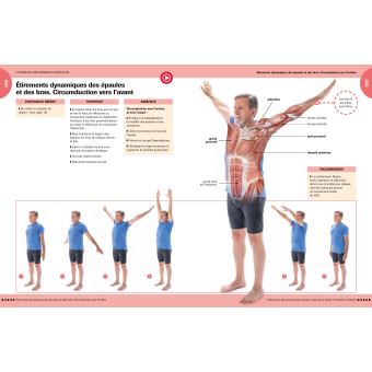 Anatomie et étirements pour le 3e âge