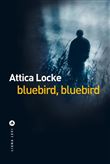 Bluebird, bluebird