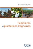 Pépinières et plantations d'agrumes