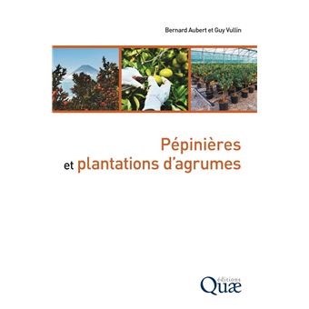 Pépinières et plantations d'agrumes