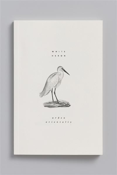 Aigrette garzette carnet animal aquatique