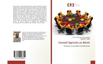 Conseil agricole au benin - pratiques et possibilite d'ameli