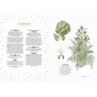 Je fais mon potager dans mon jardin