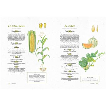 Je fais mon potager dans mon jardin