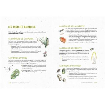 Je fais mon potager dans mon jardin