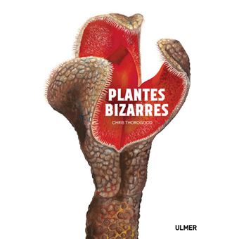 Plantes bizarres