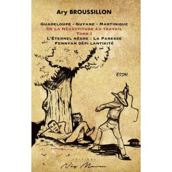 Guadeloupe, Guyane, Martinique de la nègattitude au travail