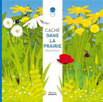 Cache dans la prairie