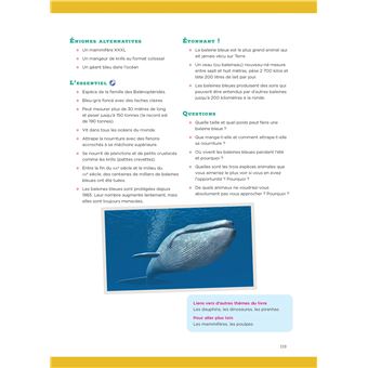 Une énigme par jour cycle 3 + ressources numériques