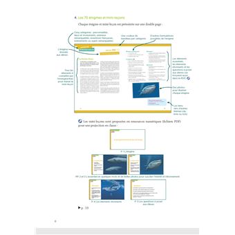 Une énigme par jour cycle 3 + ressources numériques