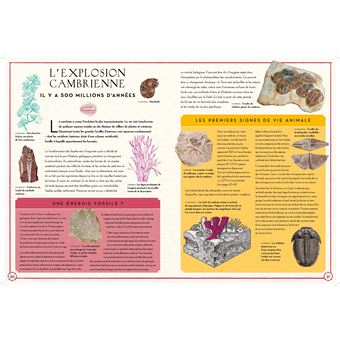 La Dérive des continents