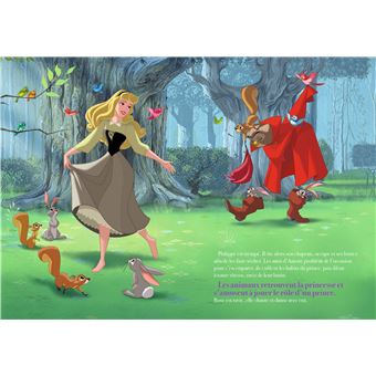 LA BELLE AU BOIS DORMANT - L'Album du film - Disney Princesses