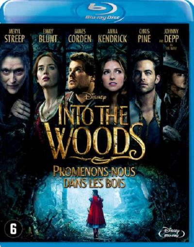 INTO THE WOODS-FR NL