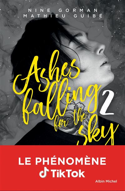 Ashes Falling For The Sky 2