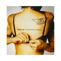 Young lust : the Aerosmith anthology