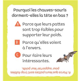 Le super quiz Incroyables animaux : connais-tu tous leurs pouvoirs ?