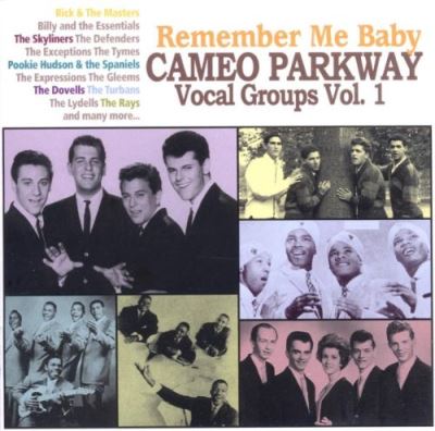 Remember me baby/cameo parkway vocal groups vol 1