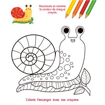 Les petites bêtes