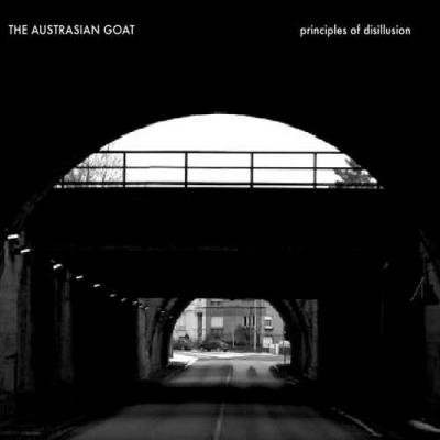 Principles of disillusion