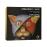 Stravinsky / Satie: Paris Joyeux & Triste - Piano Duets - CD