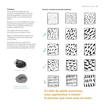 Animaux à l'aquarelle en 5 étapes