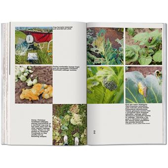 Koolhaas. Countryside, A Report