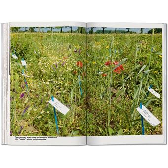 Koolhaas. Countryside, A Report