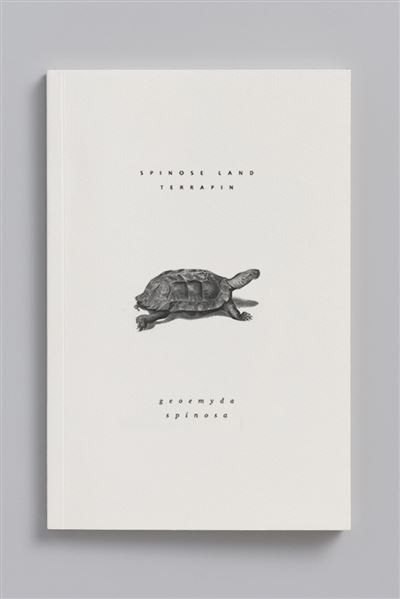 Heosemyde epineuse carnet animal aquatique