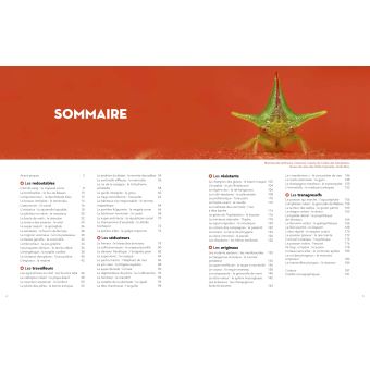 Super-Héros de la Nature