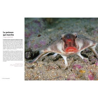 Super-Héros de la Nature