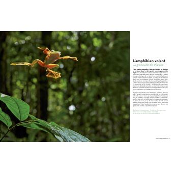 Super-Héros de la Nature