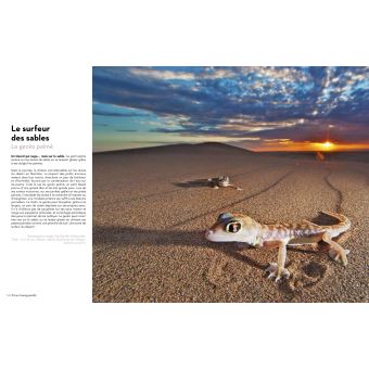 Super-Héros de la Nature