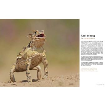 Super-Héros de la Nature