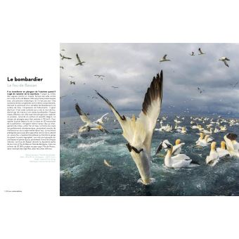 Super-Héros de la Nature