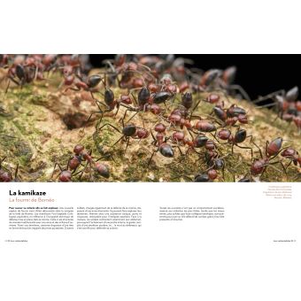 Super-Héros de la Nature