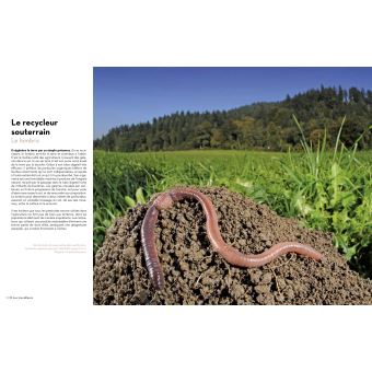 Super-Héros de la Nature